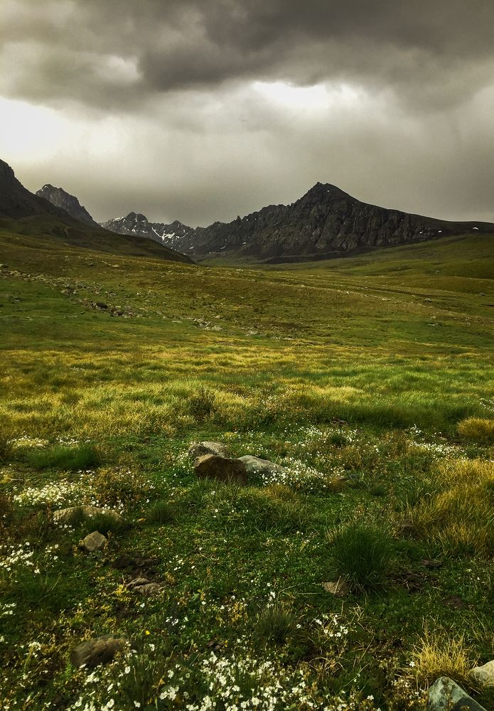 Photograph by Ahmad Bilal Cheema