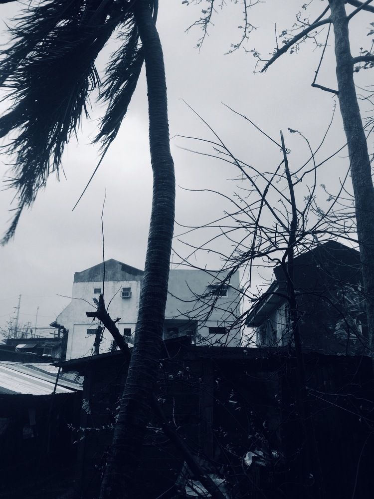 Фотография автора Russell Bañaria