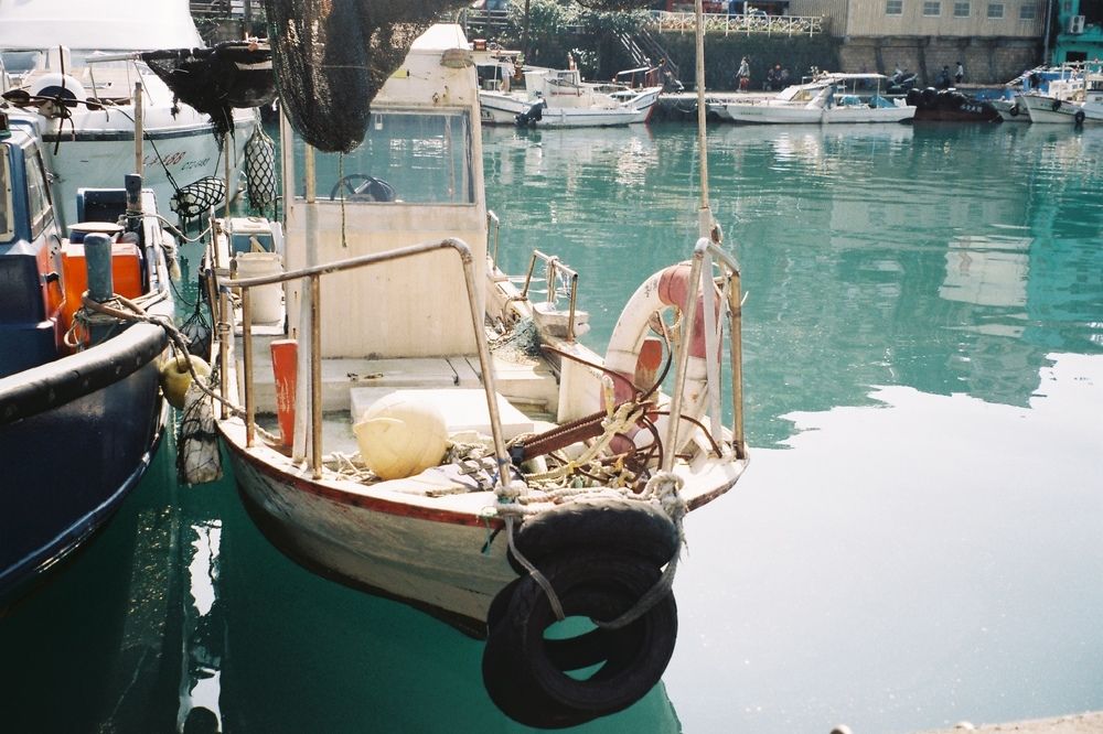 Photograph by Anne-Marie Cove