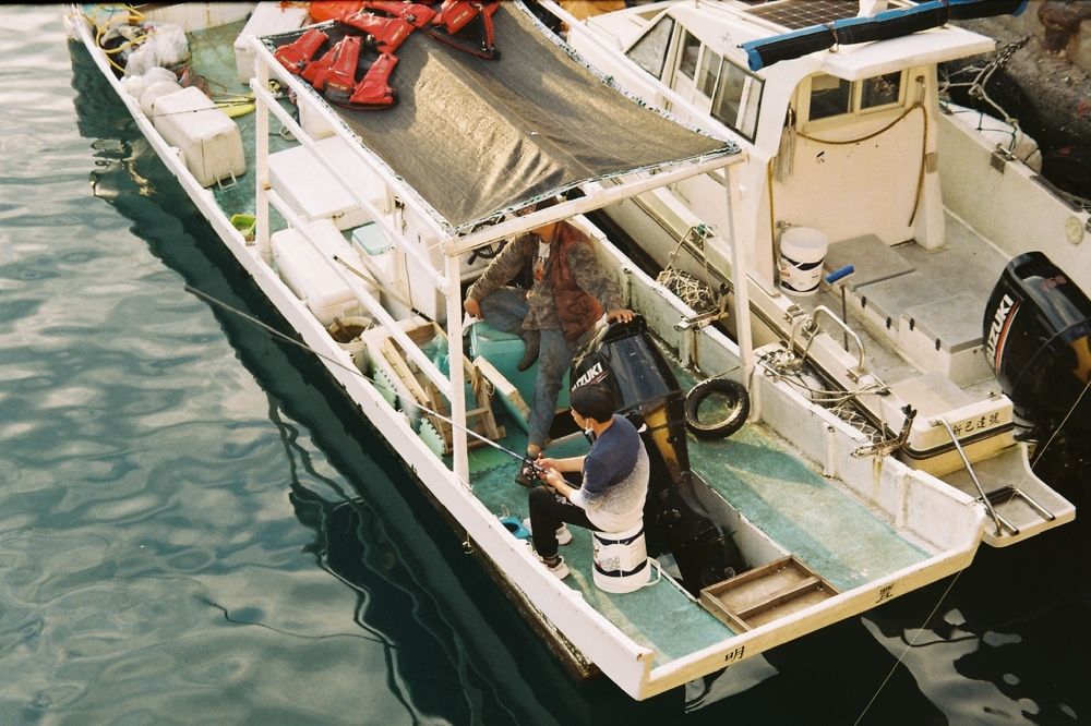 Photograph by Anne-Marie Cove