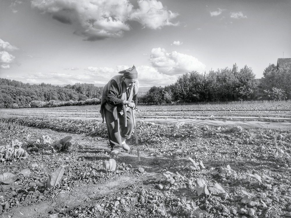 Photograph by Alen Brkić