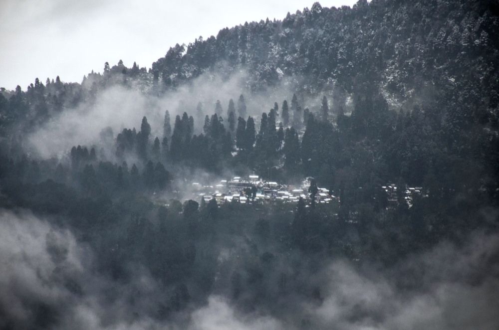 Photograph by Biswa Tshering Tamang