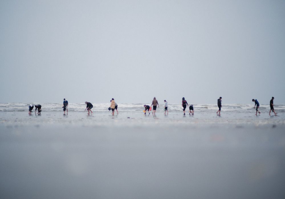 Photograph by Thanh Nguyen