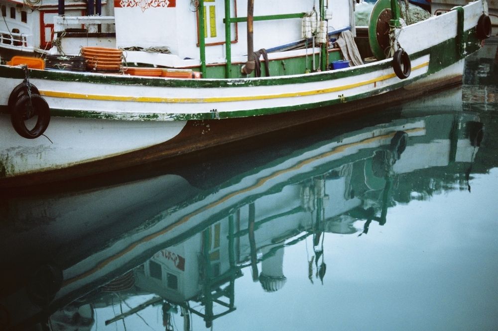 Photograph by Anne-Marie Cove