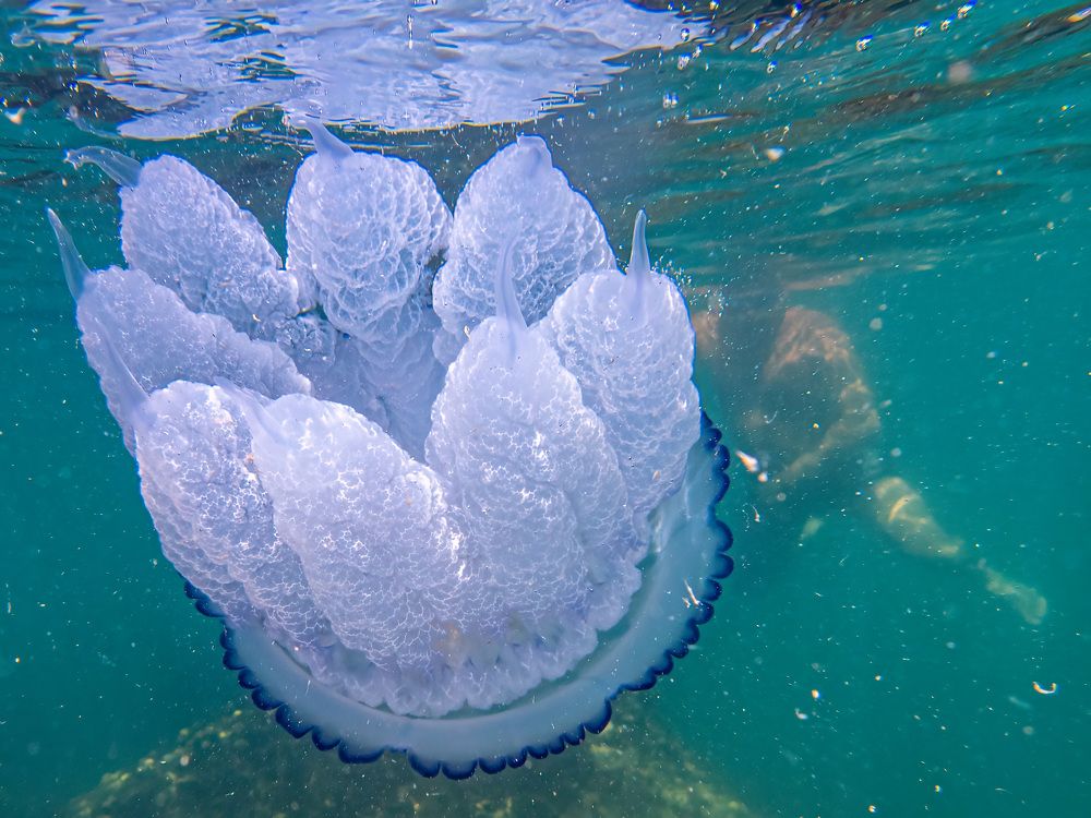 Photograph by Слави Котаров