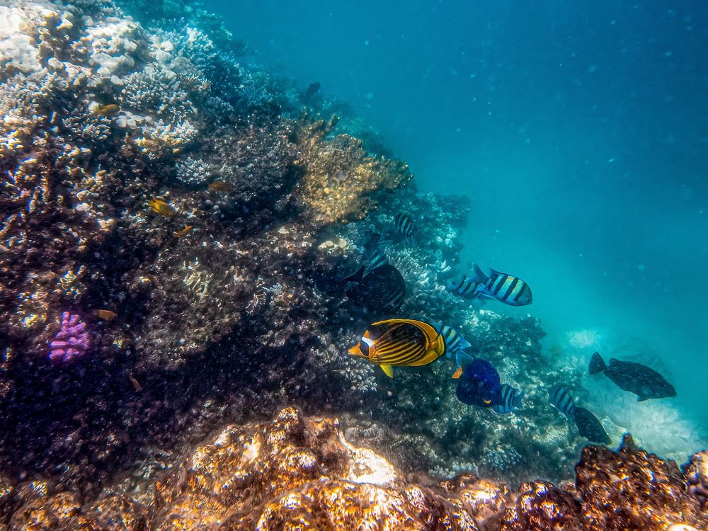 Photograph by Слави Котаров