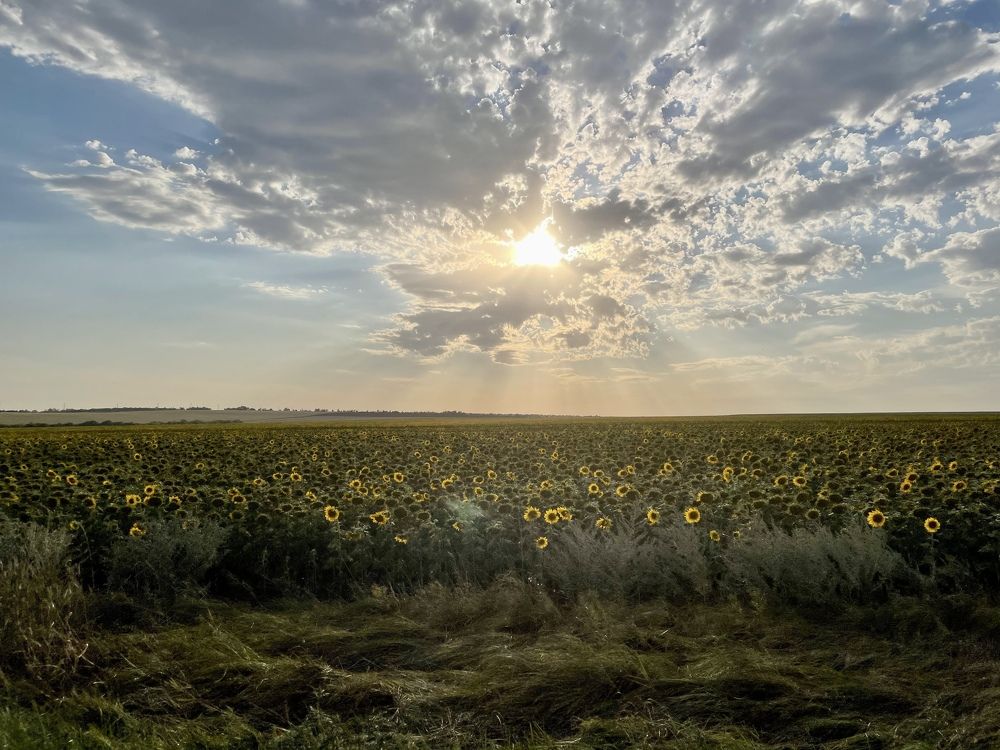 Photograph by Ольга Ильина