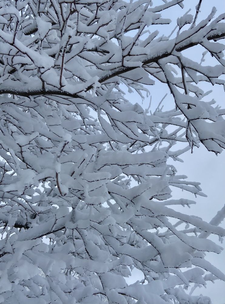 Photograph by Серегина Ирина