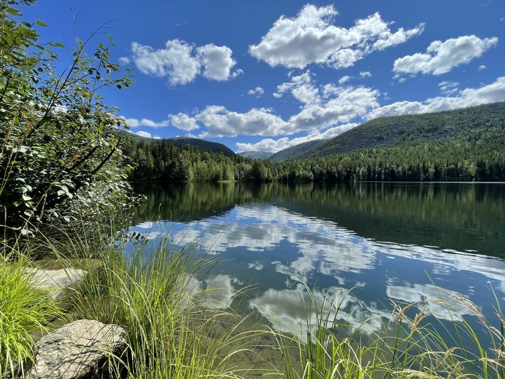 Photograph by Михаил Назаров