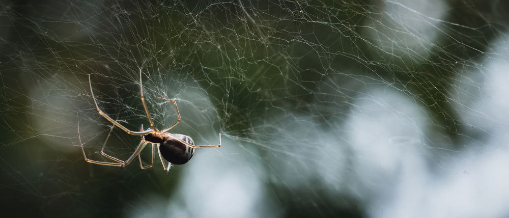 Photograph by Степан Ковыльчик