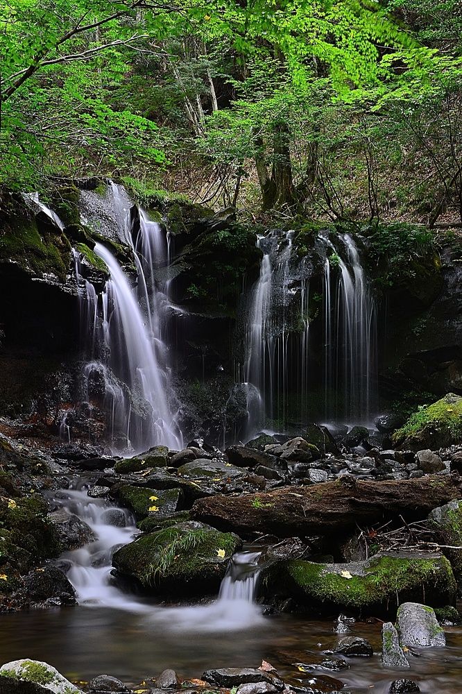 Photograph by Ohta Sigeki