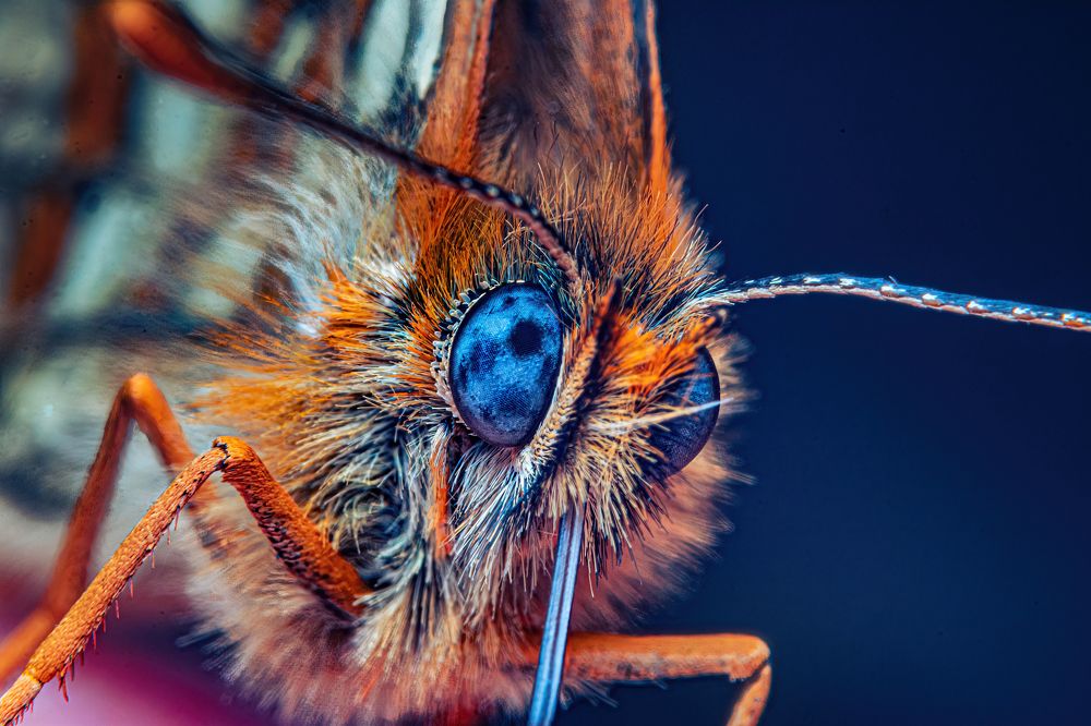 Photograph by Парфентьев Антон