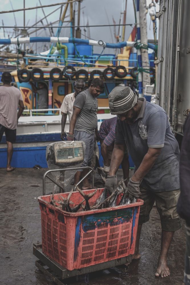 Photograph by Tharindu k