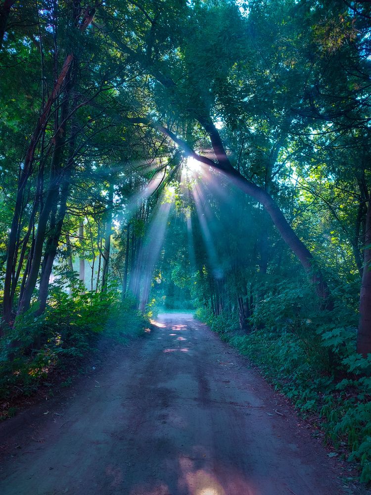 Photograph by Елена