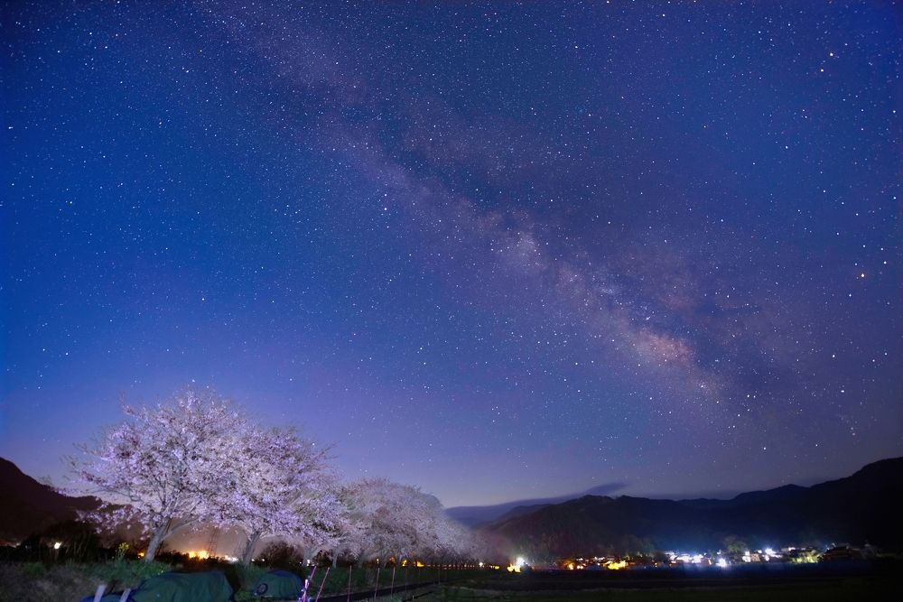 Photograph by Ohta Sigeki