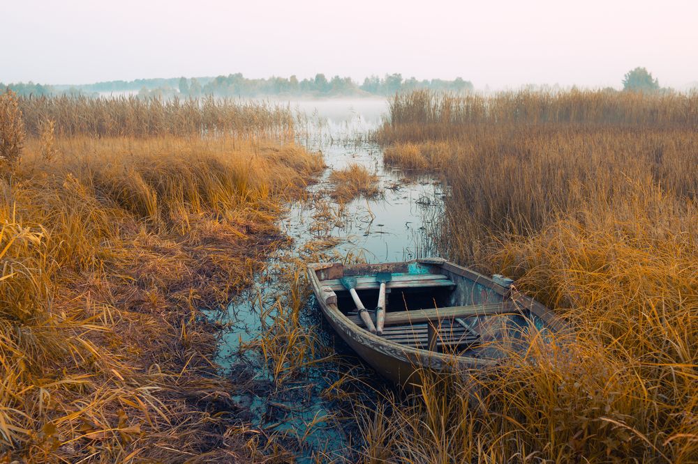 Photograph by Илья Смыков