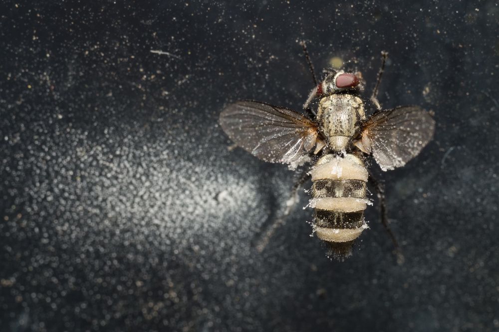 Photograph by Владимир Богданов
