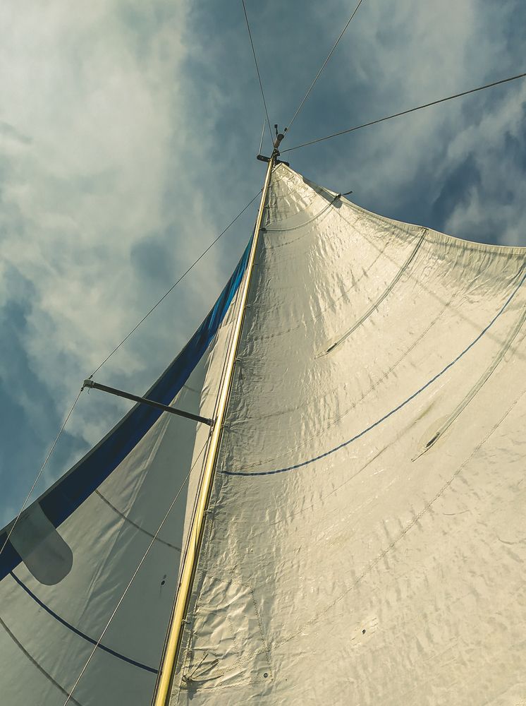 Фотография автора Elena Martynova-Rybczynski