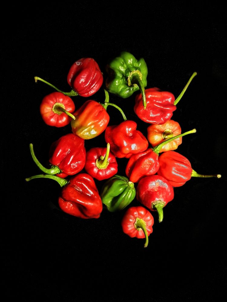 Photograph by Sajith Nayanananda