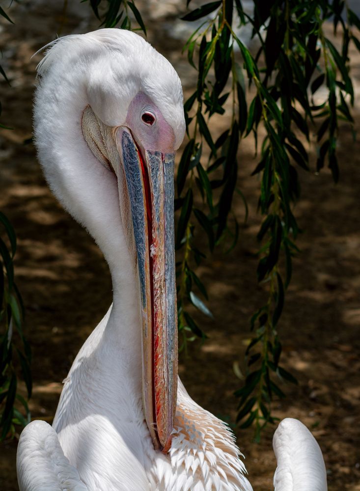 Photograph by Татьяна Зема