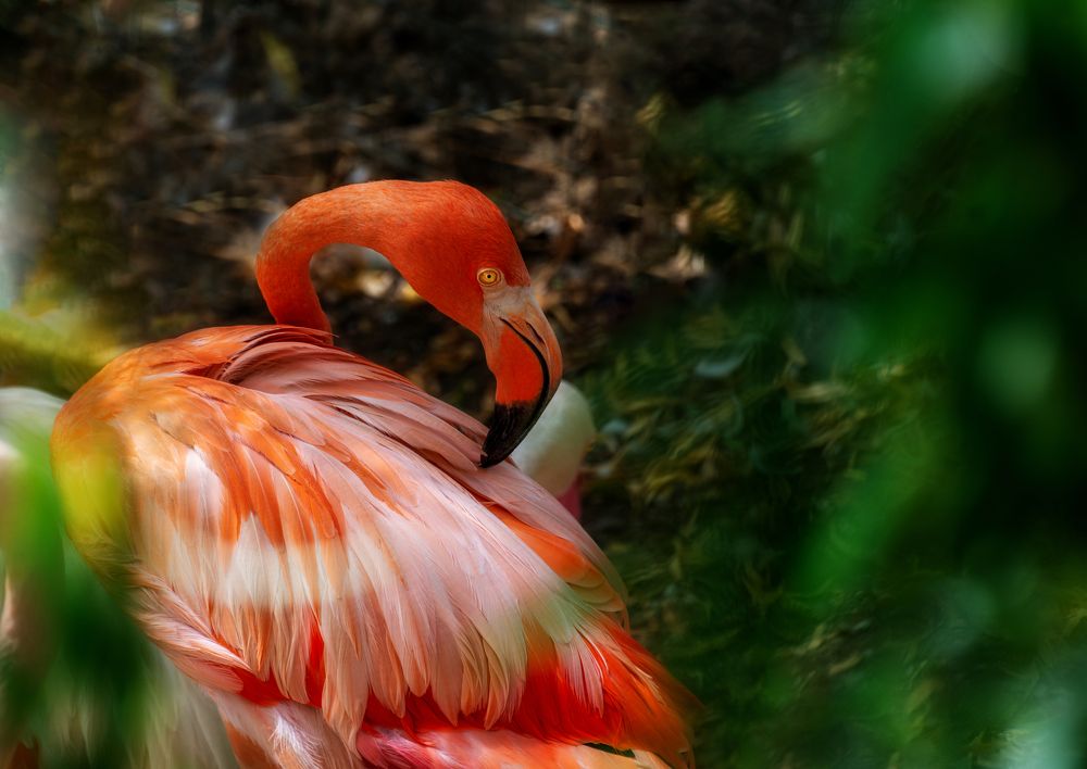 Photograph by Татьяна Зема