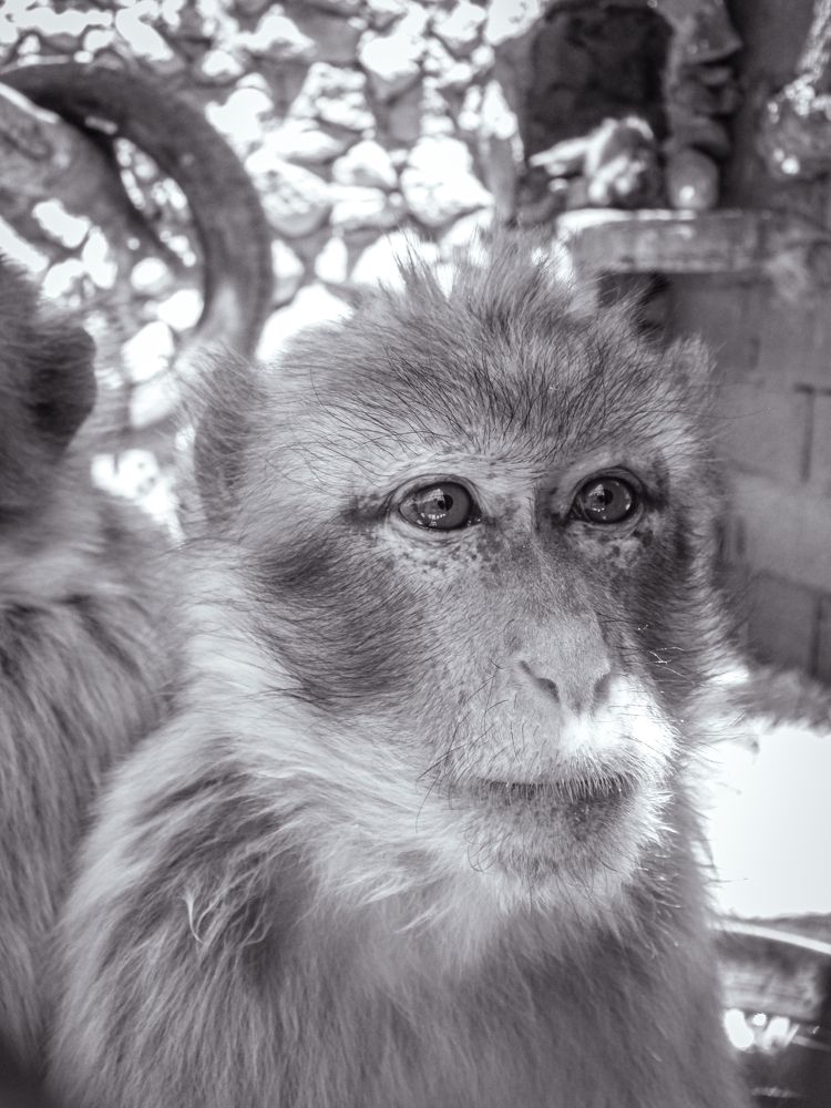 Photograph by abd alghani