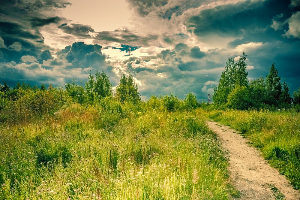 Photograph by Владимир Поздняков