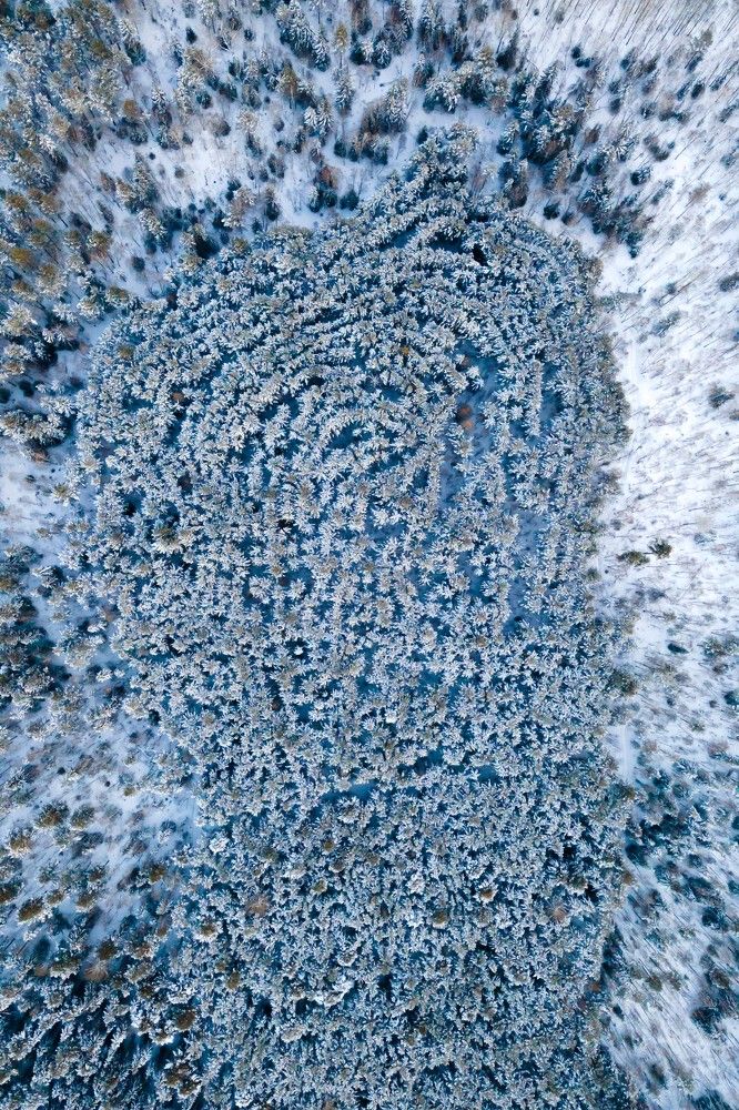 Photograph by Жданов Дмитрий