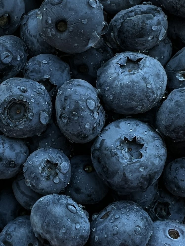 Фотография автора Марина Матьянова