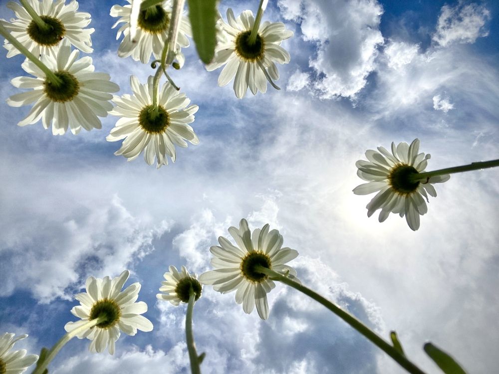 Photograph by Иованна Решетова