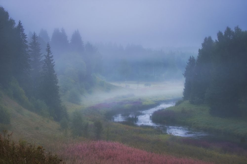 Photograph by Светлана Краюшкина