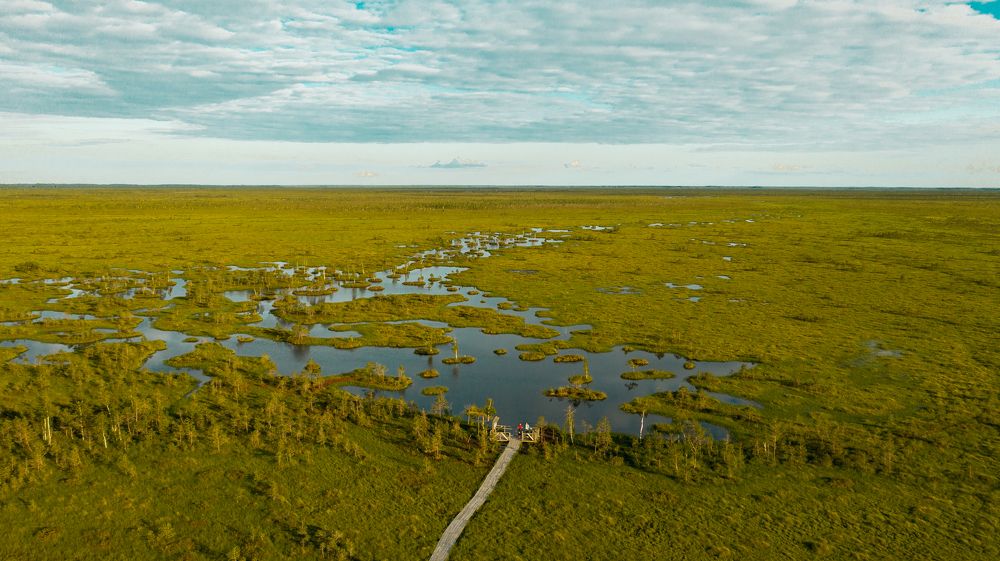 Photograph by Sebastian Bundschuh