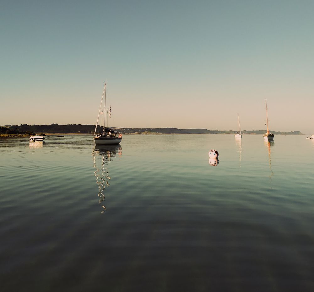 Фотография автора Elena Martynova-Rybczynski