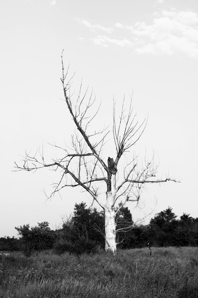 Photograph by Александр Врублевский