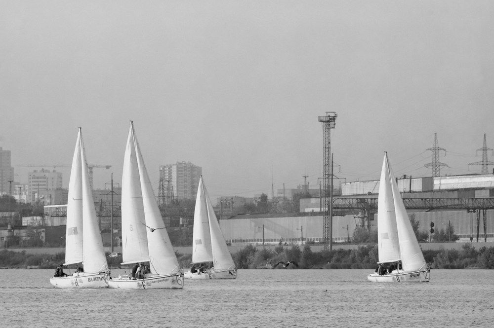 гонки под парусом