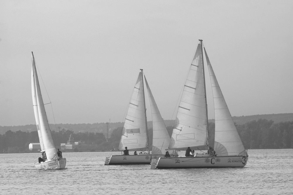 гонка под парусами