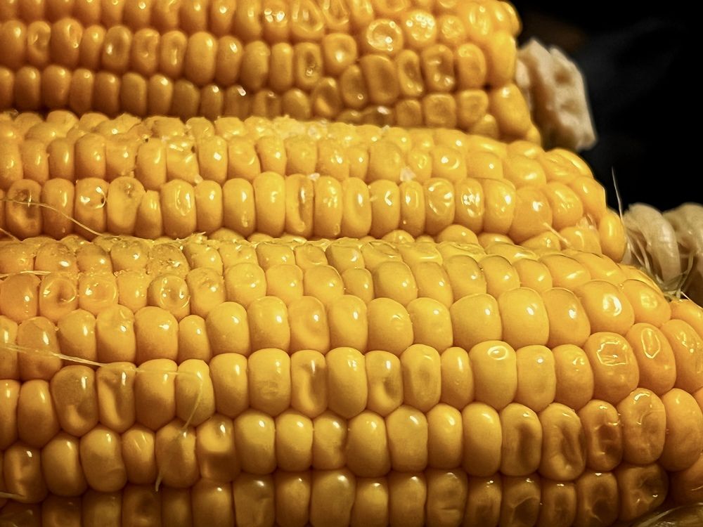 Photograph by Alena Kochergina