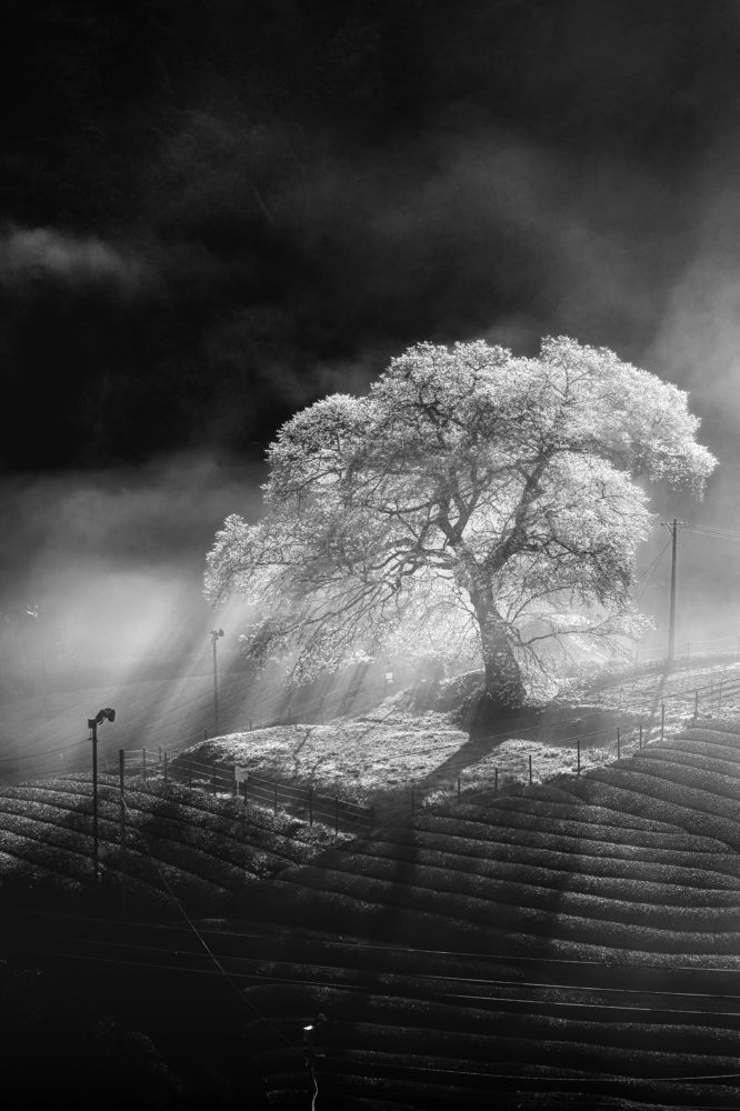 Photograph by Matsubara Hiroki