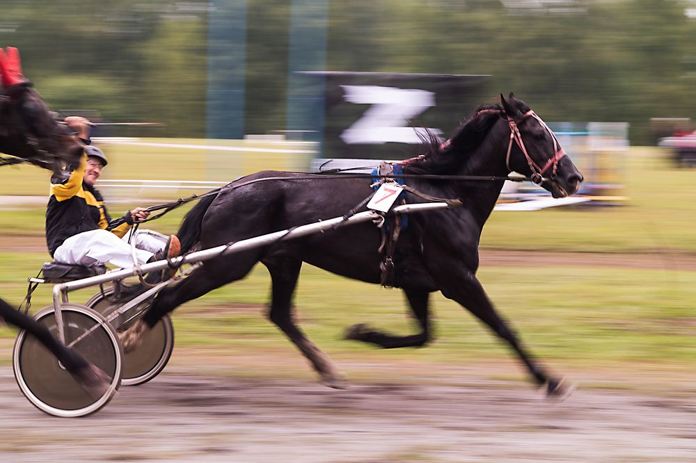 Photograph by Дмитрий Никулин