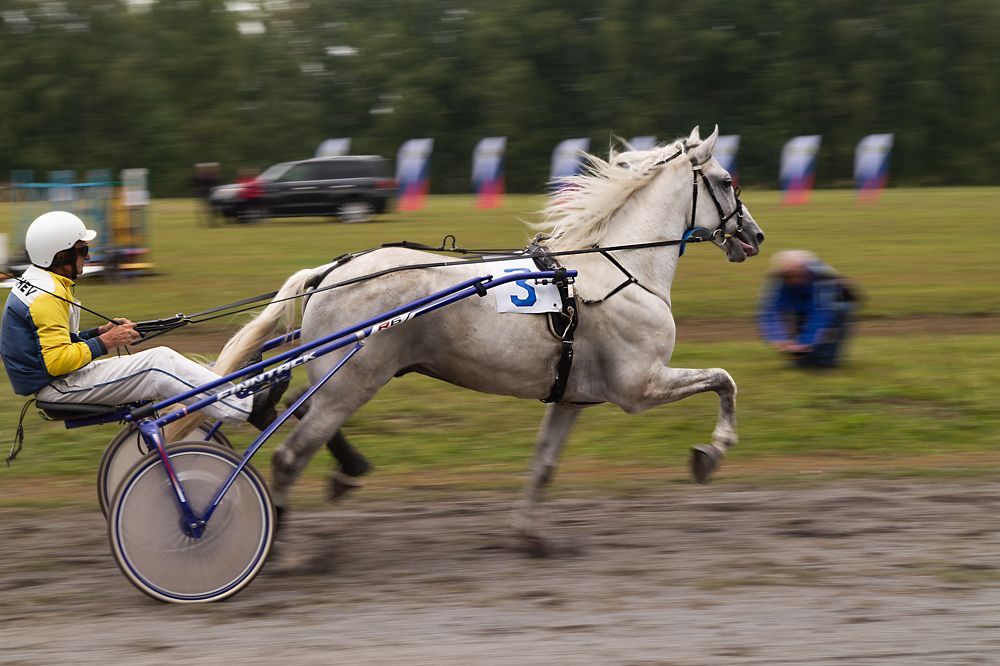 Photograph by Дмитрий Никулин