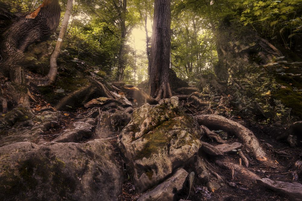 Photograph by Ksenia Kouri