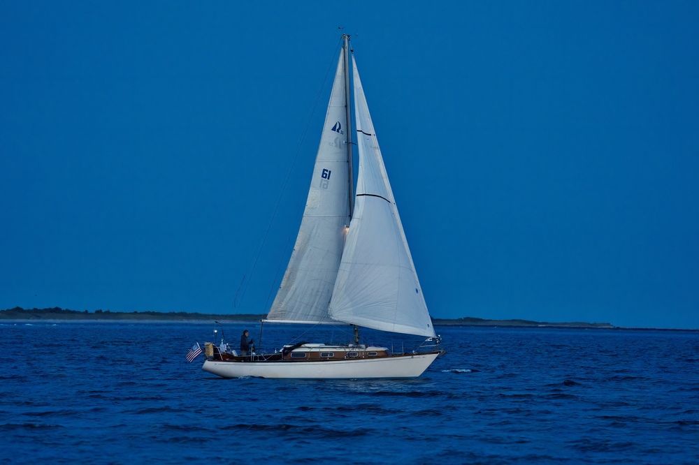 Фотография автора Viktoria