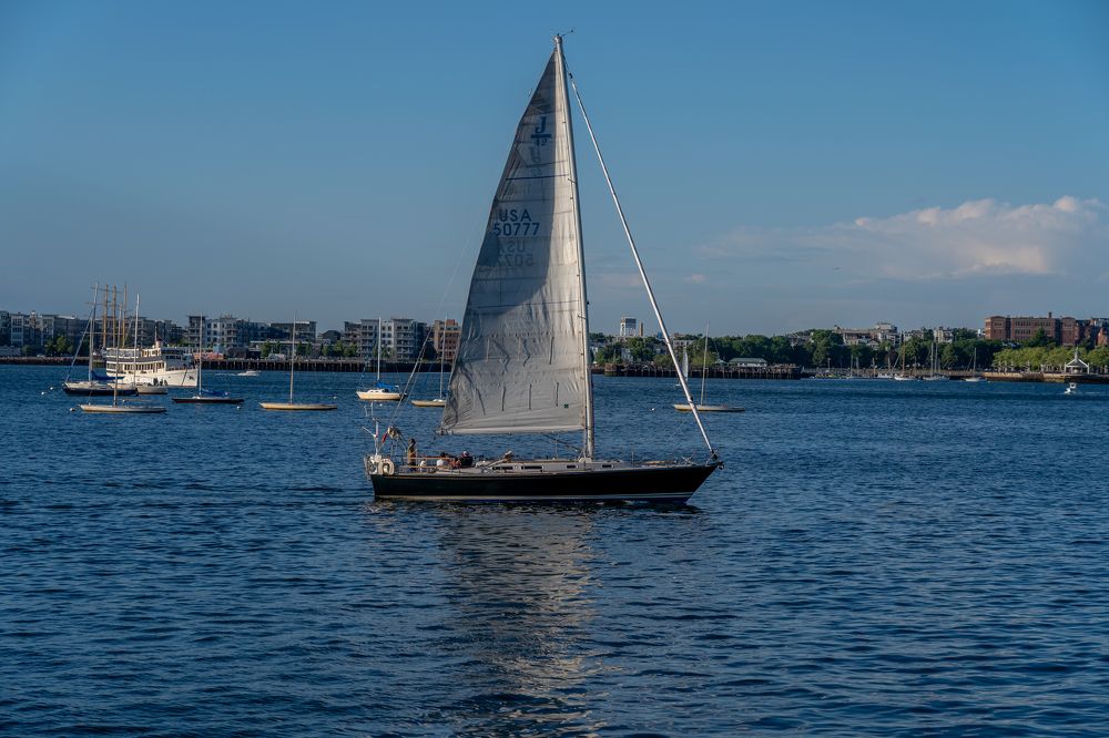 Фотография автора Viktoria