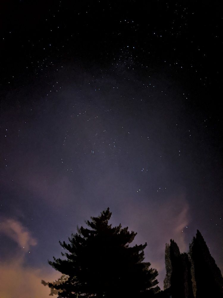 Photograph by Gabriela Meghnini