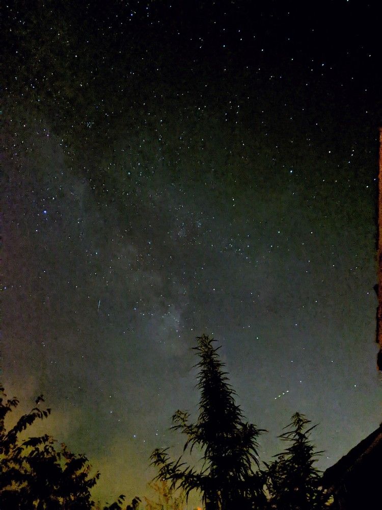 Photograph by Gabriela Meghnini