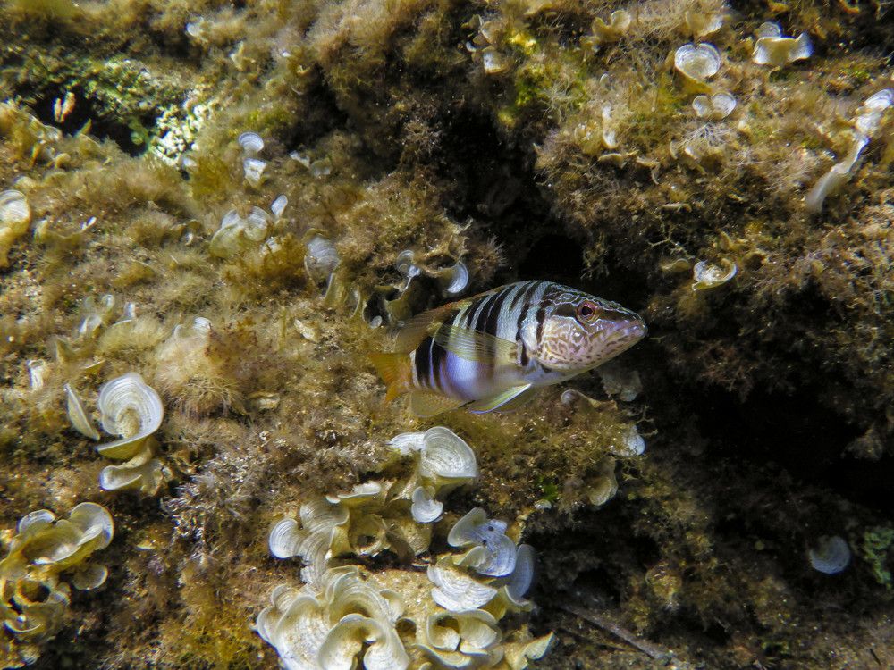 Photograph by Alexandros Melidis