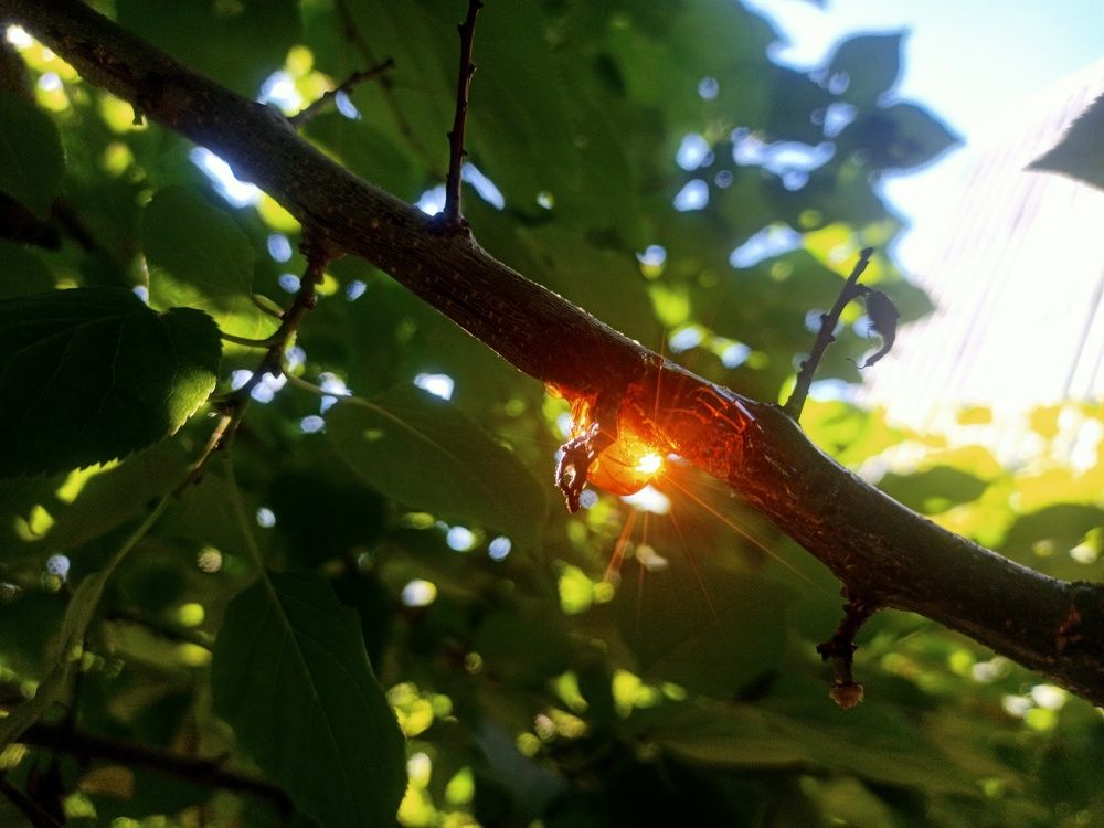 Photograph by Елизавета Мишина