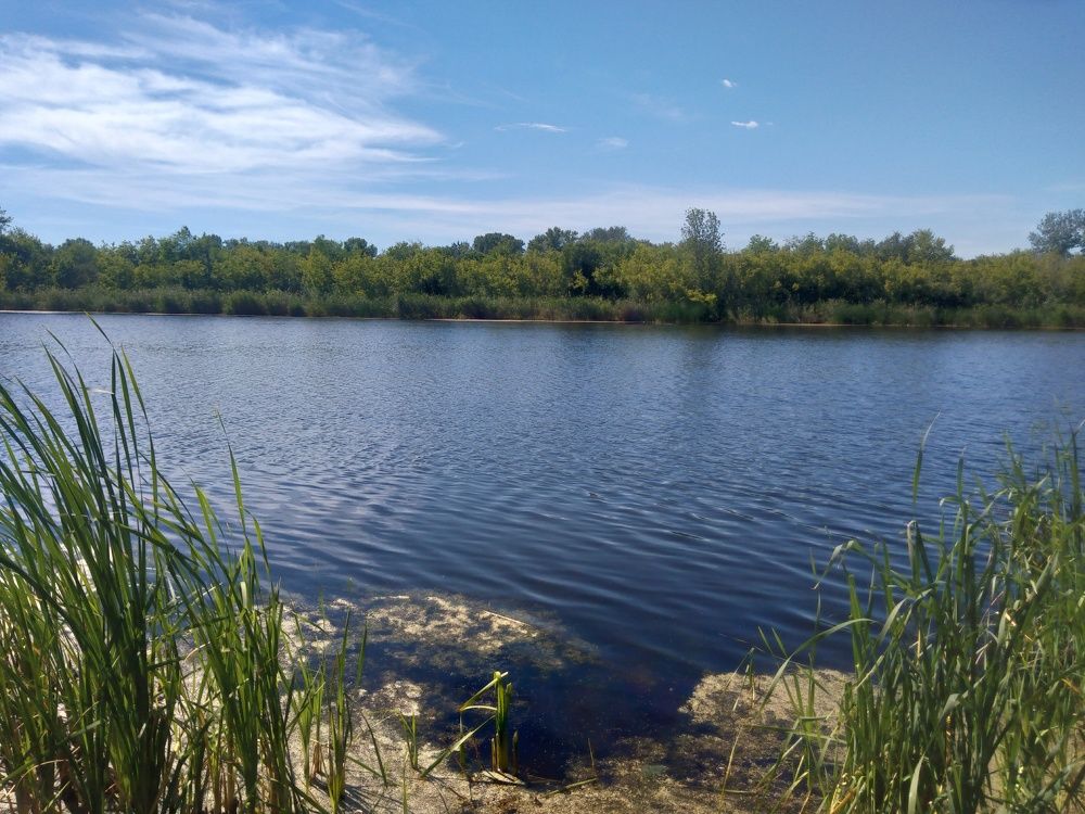 Photo #7949716