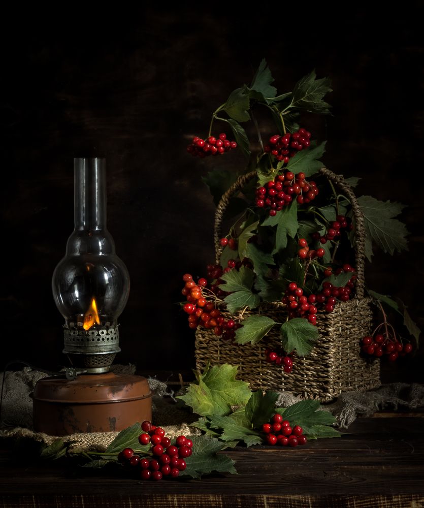 Фотография автора Наталья Соболь