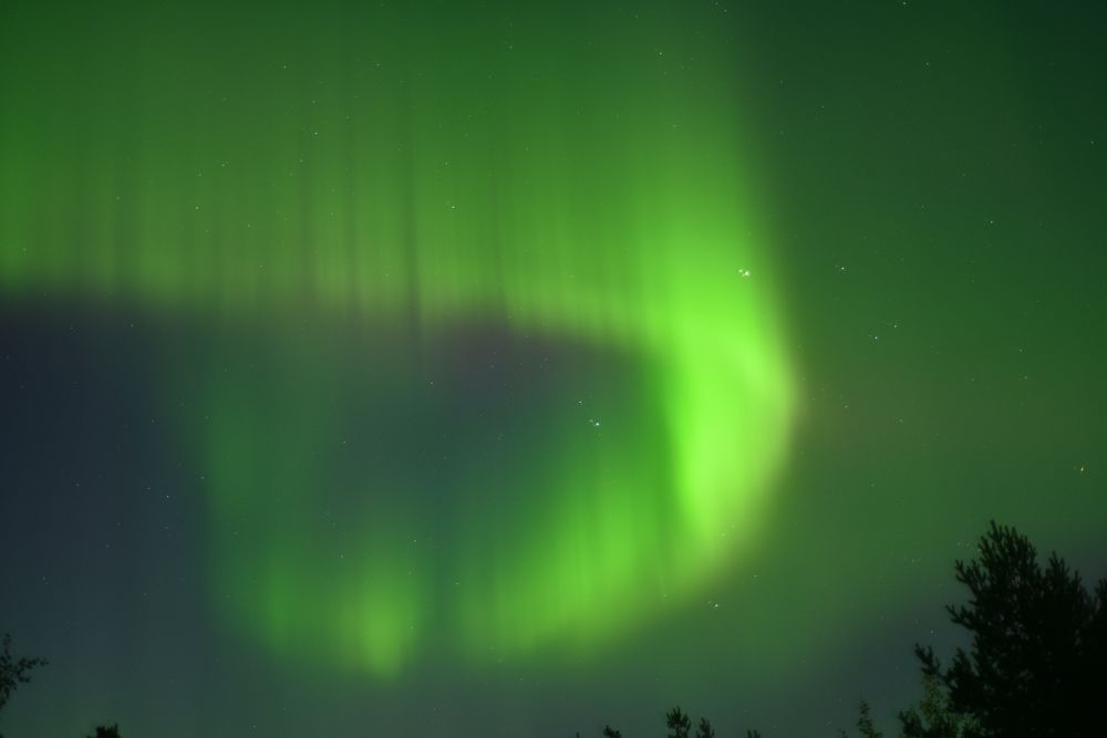 Фотография автора Анна Ершова